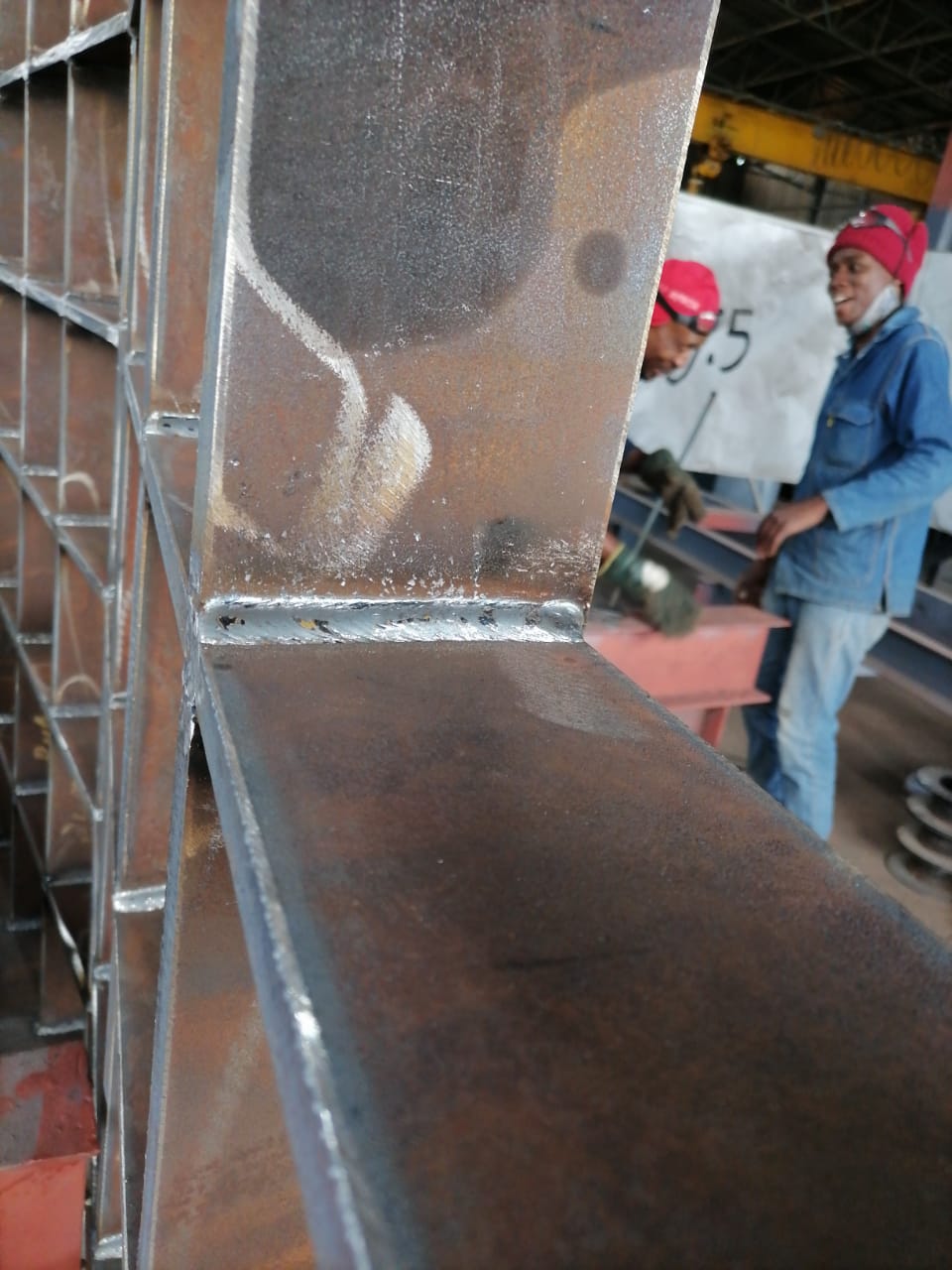 WhatsApp Image 2023-05-13 at 12.12.36 WhatsApp Image 2023-05-13 at 12.12.36